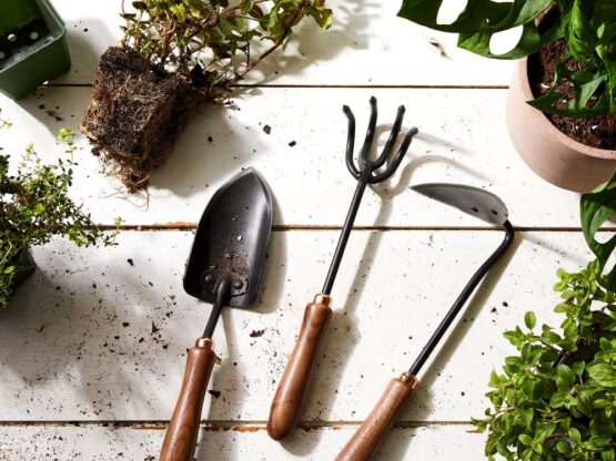 Plantation Tools