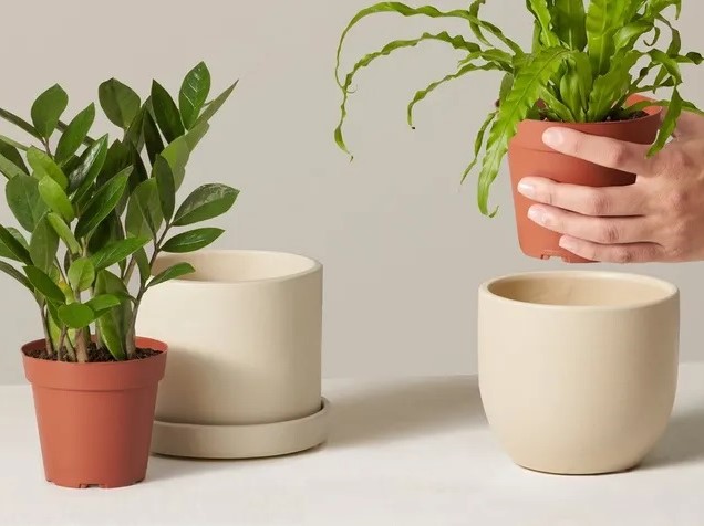 Plant Pots