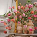 Geraniums