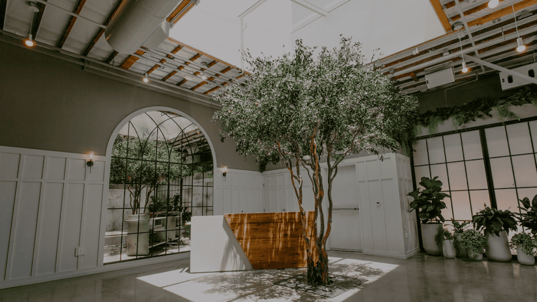Natural Indoor Plants