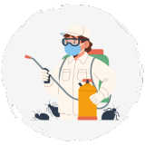 Weed and Pest Control​