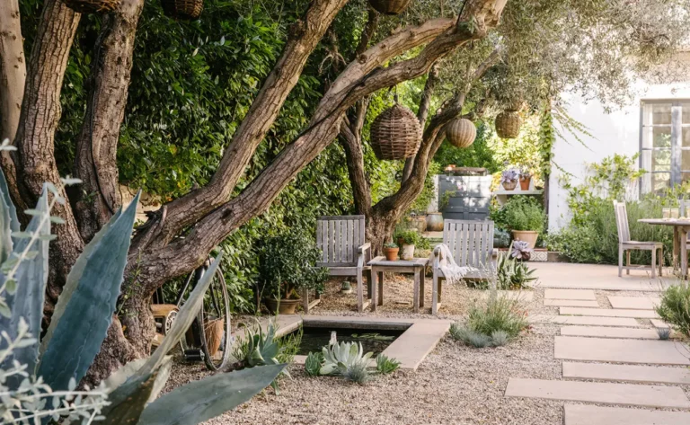 best low maintenance plants
