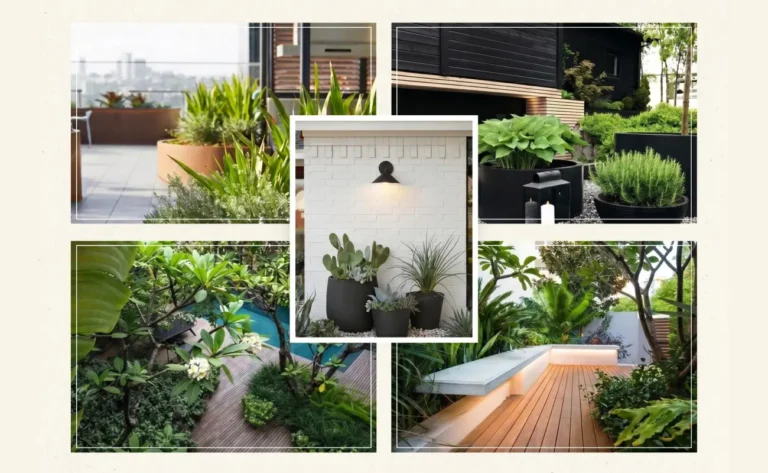 why choose goldenseed for low maintenance landscaping in dubai