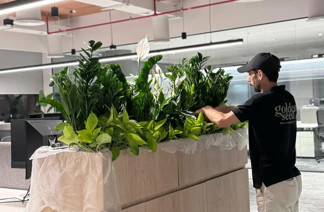 Installation