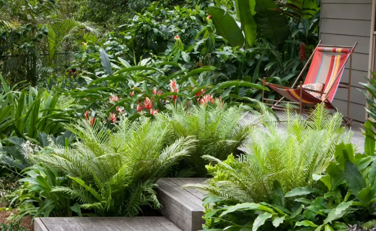 buying indoor outdoor plants
