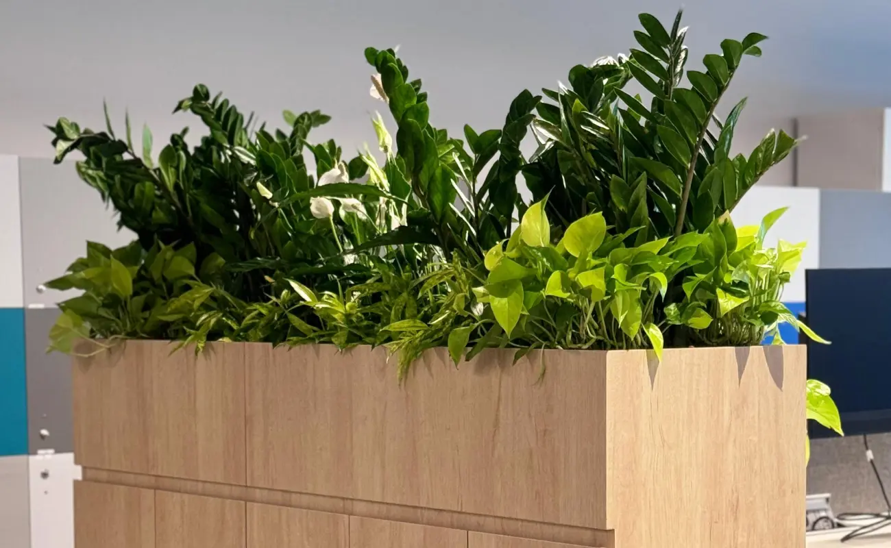 natural plants vs artificial plants