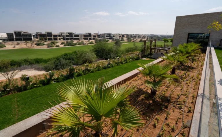 which option suits dubais climate
