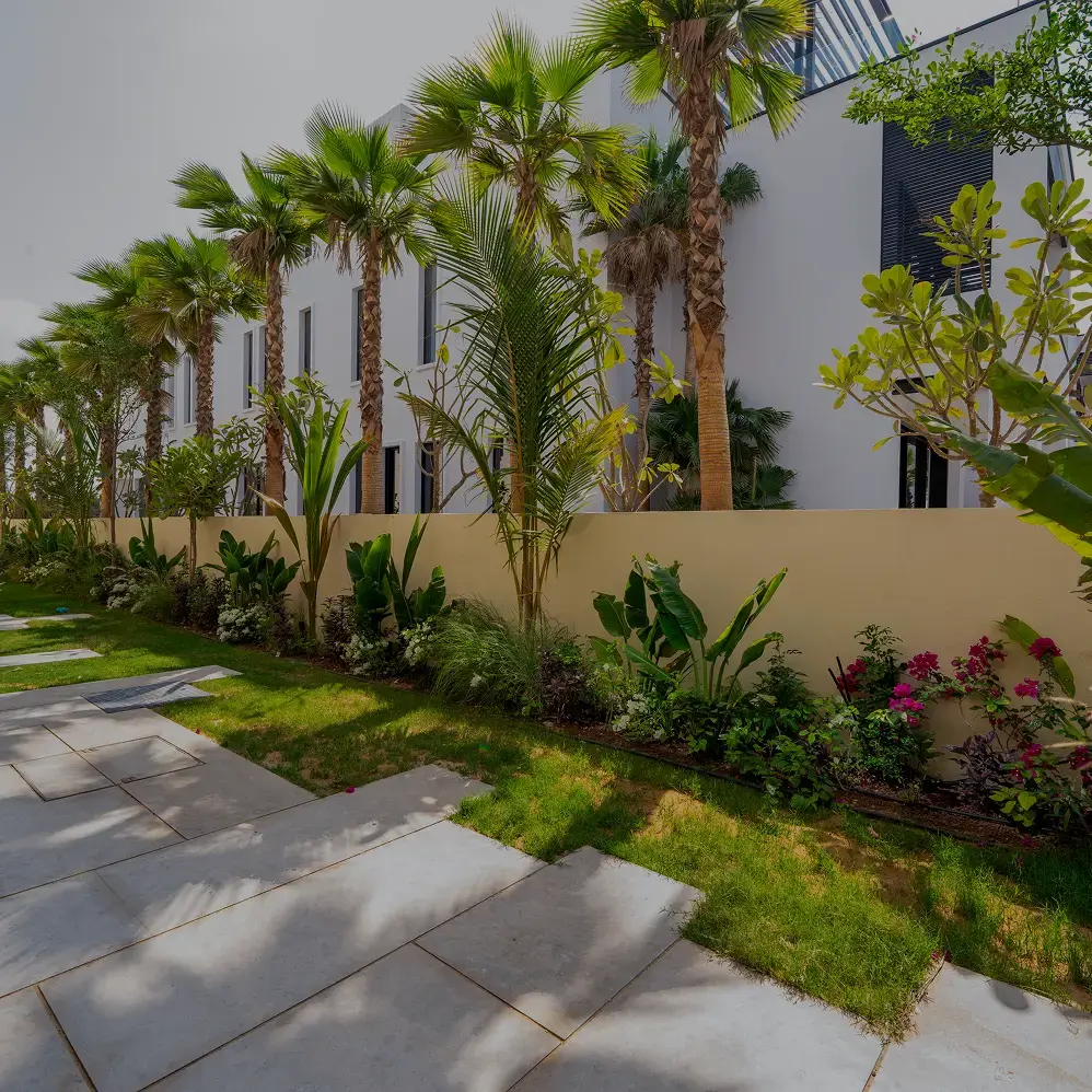 2palms & tree