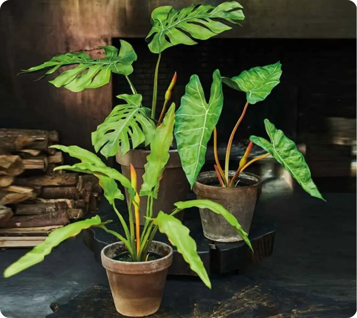 Artifical Plants.webp