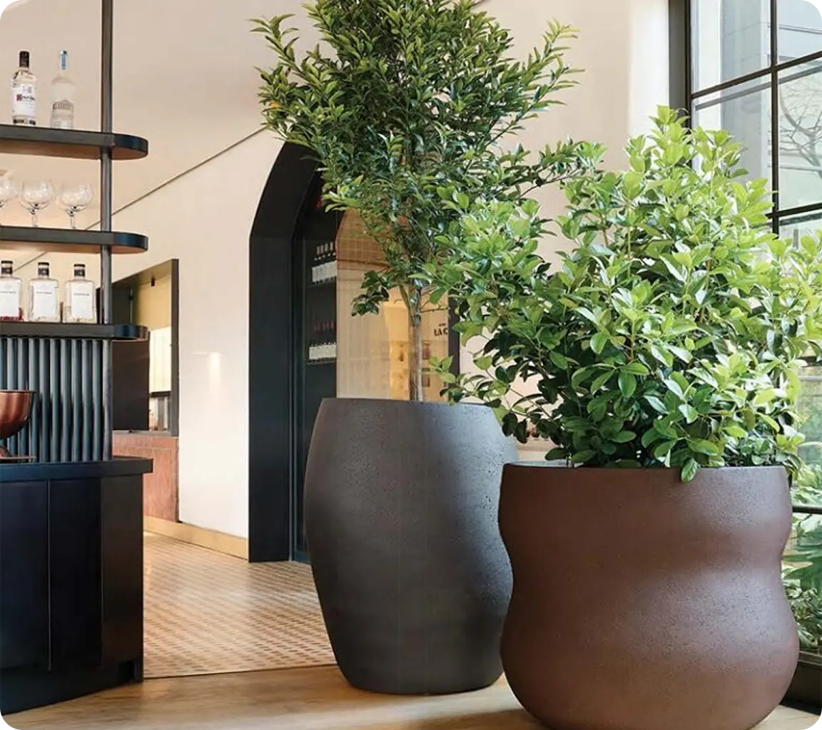 Pots Planters and Accessories.webp