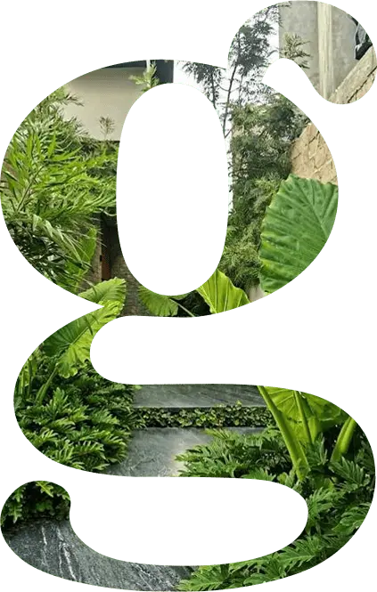 goldenseeds mask image.webp
