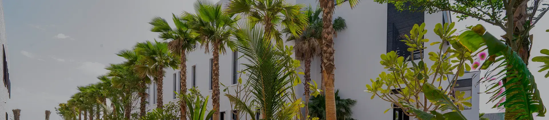 palms & tree