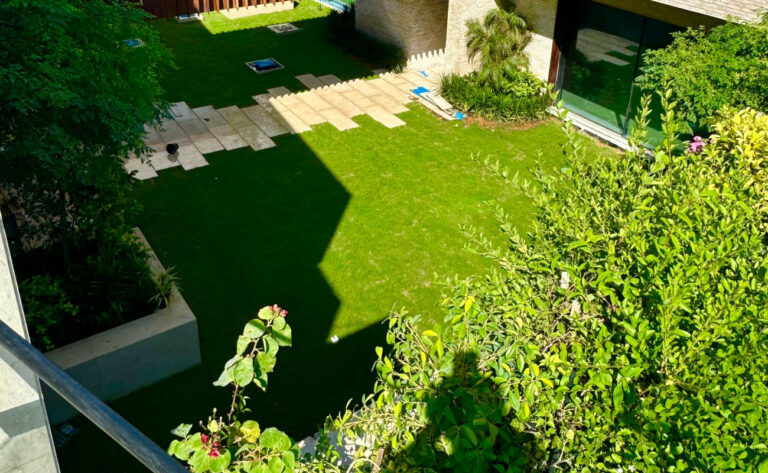 best location sunlight requirements