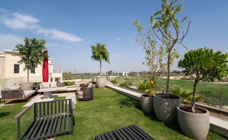 common pests problems in uae climate