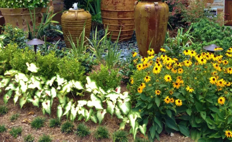 low maintenance plants for dubai gardens