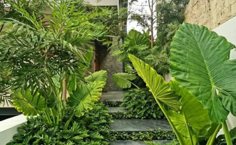 Designing a Private Garden Zone for Dubai Homes