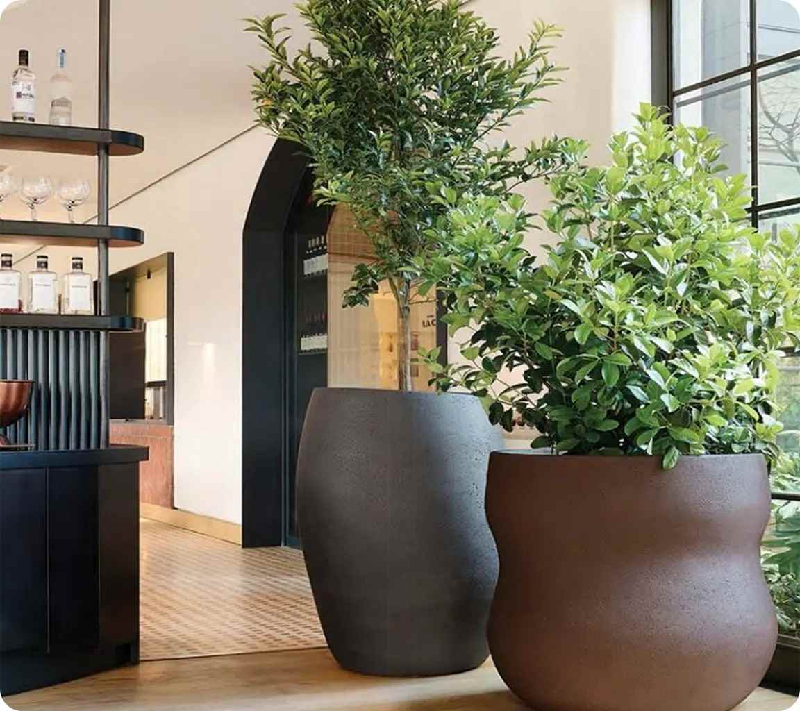 Pots Planters and Accessories new