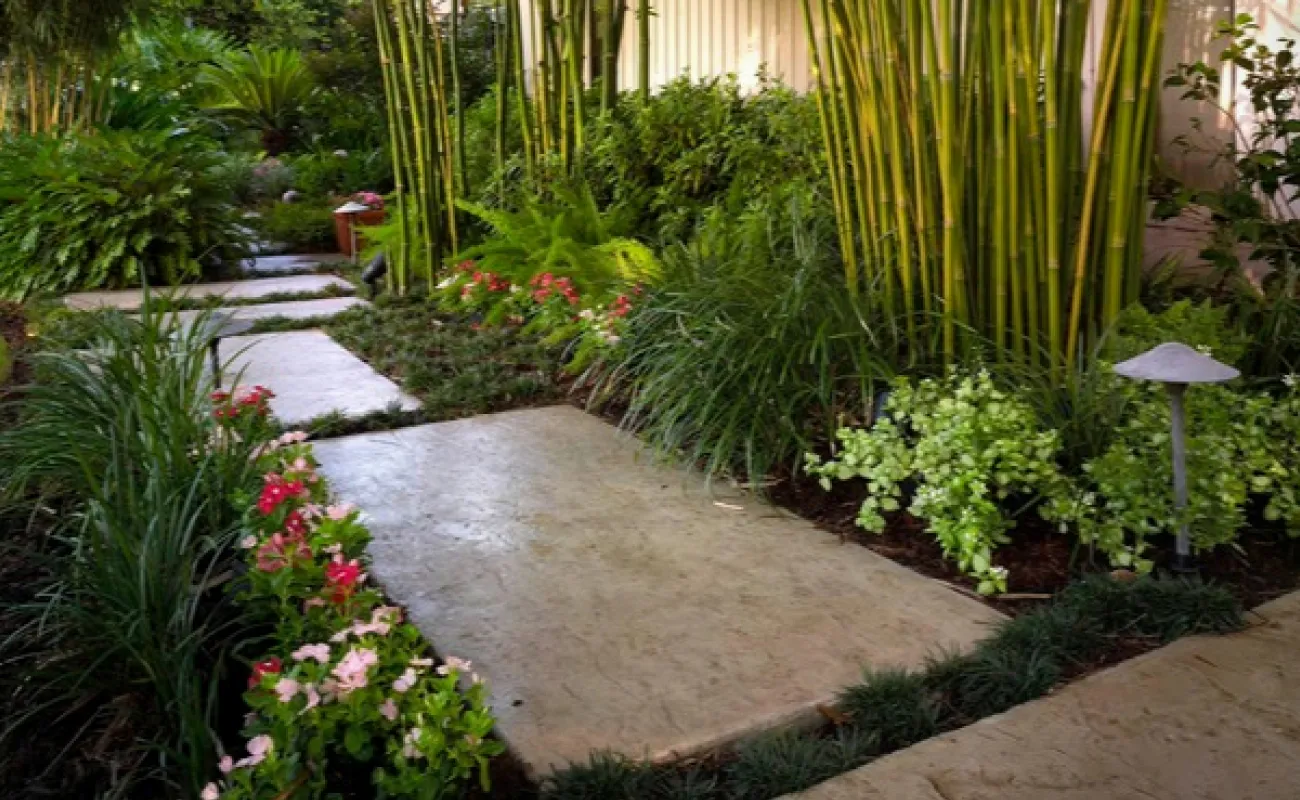What Is a Purpose Driven Garden